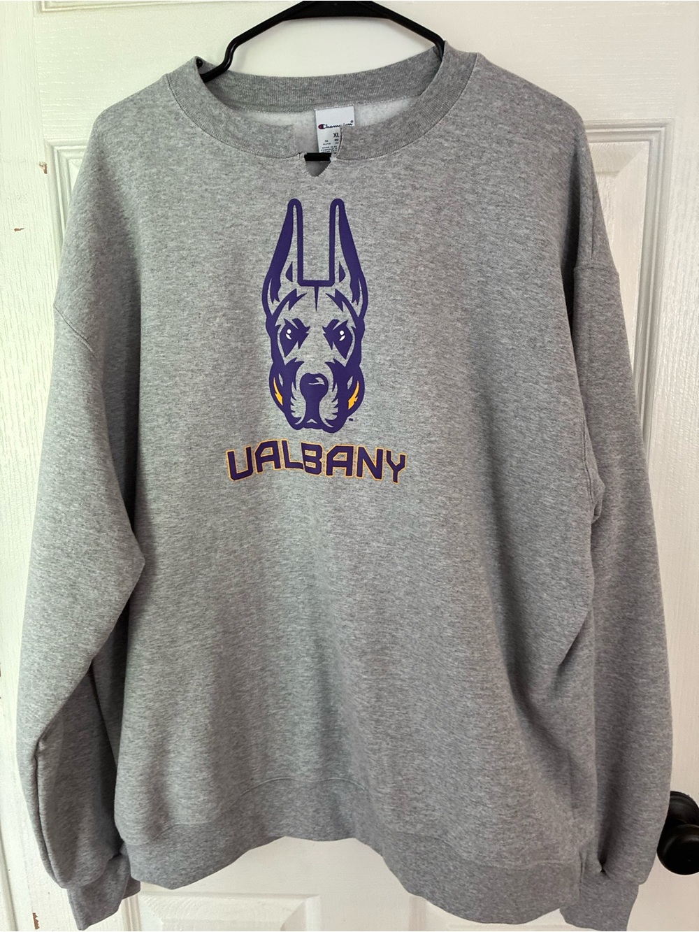Champion UAlbany Great Danes Sweatshirt XL Gray Crewneck College Logo
